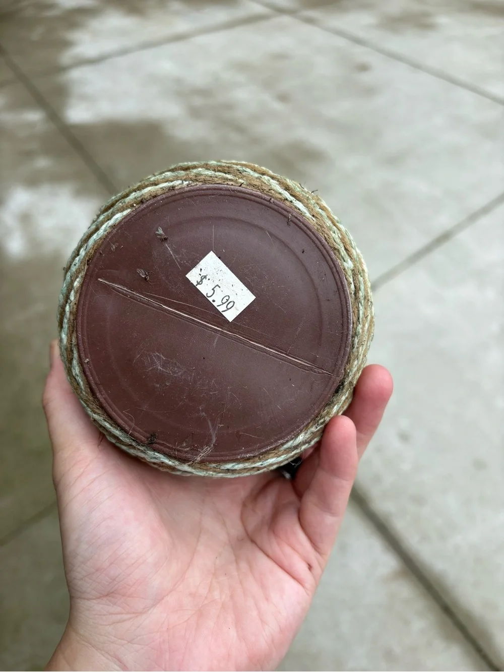 JUTE WRAPPED PLANTER POT